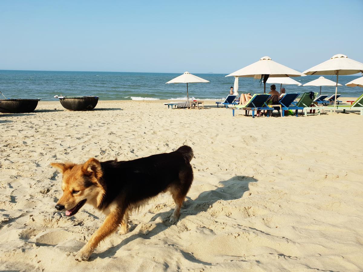 An Bang Beach Villa Χόι Αν Εξωτερικό φωτογραφία